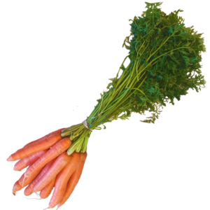 Zanahoria en Rama – Frescura, Dulzura y Sabor Natural 🥕