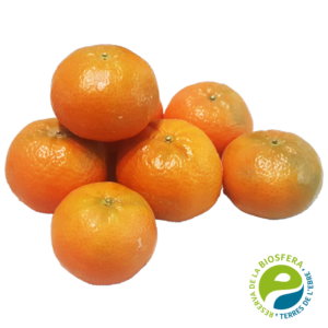 Mandarina Del Delta - Sabor, Territorio y Tradición 🍊🧡