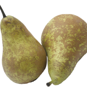 Pera Conferencia – Jugosa, Dulce y Perfecta para Cuidarte 🍐💧