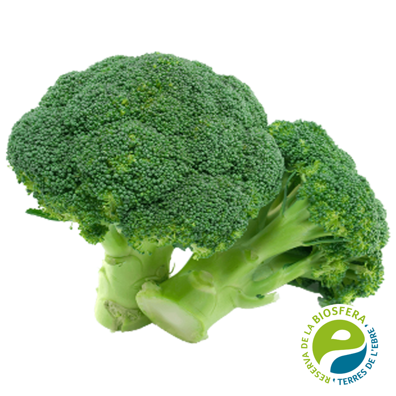 Bròcoli - Nutritiu, Versàtil i Saludable 🌱🥦